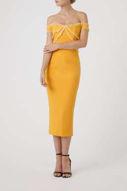 Rachel Gilbert Kiki Dress Yellow Size 10 for rent on The Volte - image 1