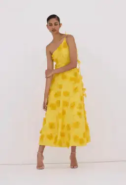 Rachel Gilbert Ianthe Dress Yellow 1/AU8 for rent on The Volte - image 3