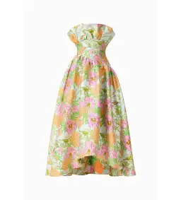 Elliatt Laurel Sleeveless Maxi Dress in Green Floral Size 10 for rent on The Volte - image 6