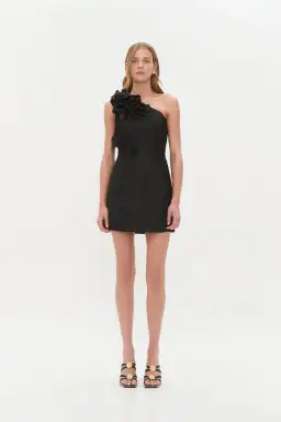 AJE Camille Mini Dress 14 for rent on The Volte - image 1