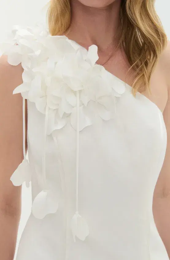 AJE Camille Mini Dress 8 for rent on The Volte - main image