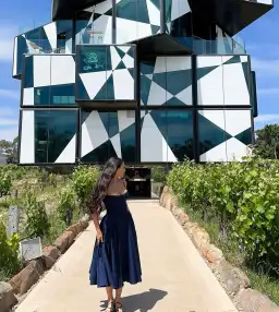 House of CB Samaria dress for rent on The Volte - image 4