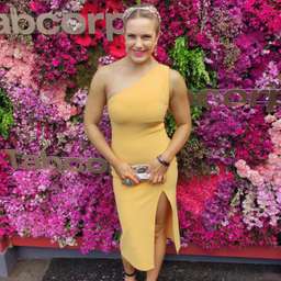 Bec & Bridge yellow dress size 6