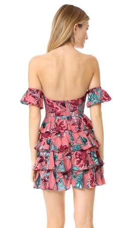 For Love and Lemons Flamenco Floral Mini Dress size 6 XS for rent on The Volte - image 2