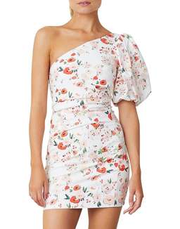 Bec & Bridge Garden Party mini dress, size 10