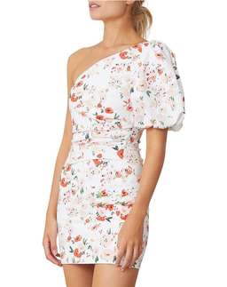 Bec & Bridge Garden Party mini dress, size 10