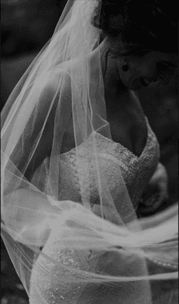 Karen Willis Holmes | Addison | Size 8