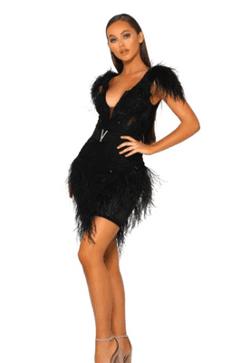 -Doll house:PORTIA & SCARLETT FEATHER MINI DRESS Size 8 for rent on The Volte - image 1
