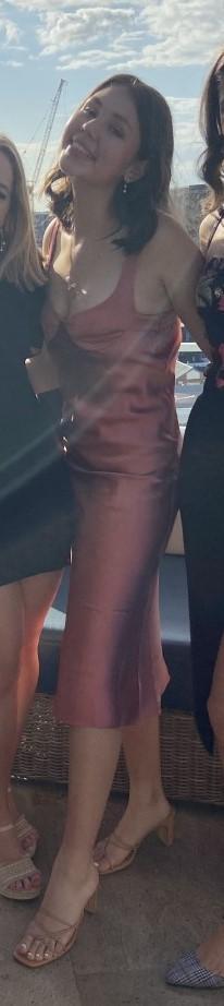 DION LEE Layered Silk Satin Dress In Pink for rent on The Volte - main image