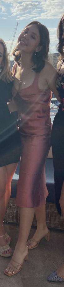 DION LEE Layered Silk Satin Dress In Pink for rent on The Volte - image 4