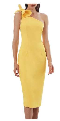 By Johnny Pollen Tie Midi Dress Size 6 for rent on The Volte - image 1