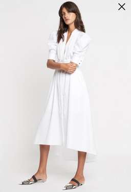 Sass and Bide electric city dress