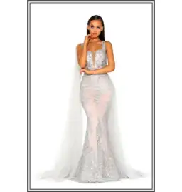 Scarlett & Portia Lydia Gown Silver/Nude Size AU 8 for rent on The Volte - image 2