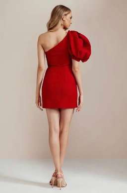 Nicola Finetti Eddy Red Dress Red Size 10 for rent on The Volte - image 3