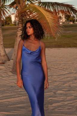 Rat & Boa Azure Midi Dress Blue Size 6