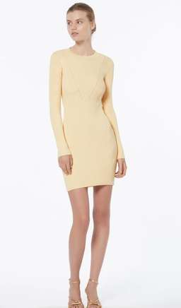 Manning Cartell Clause Knit mini dress for rent on The Volte - image 4