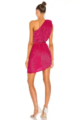 Retrofete Ella Dress Fuchsia Size 12 for rent on The Volte - image 2