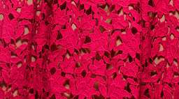 Self Portrait Red Lace Azalea Dress size 8