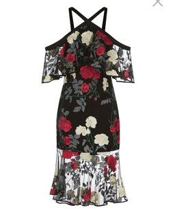 Rodeo drive Yena Lace Dress size 14