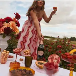 Steele Mirabella Dress Groovy Size 8 for rent on The Volte - image 6