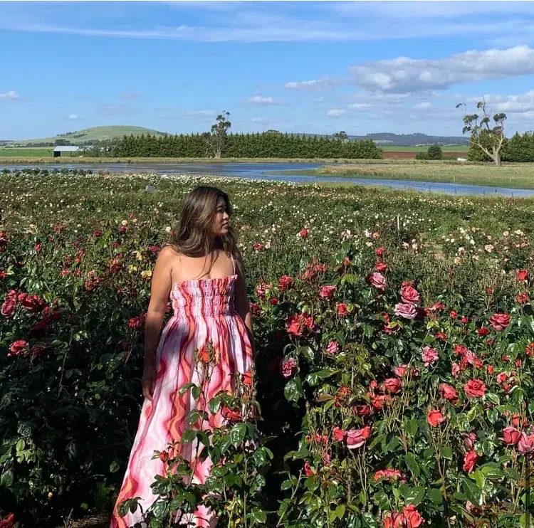 Steele Mirabella Dress Groovy Size 8 for rent on The Volte - main image