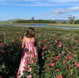 Steele Mirabella Dress Groovy Size 8 for rent on The Volte - image 5