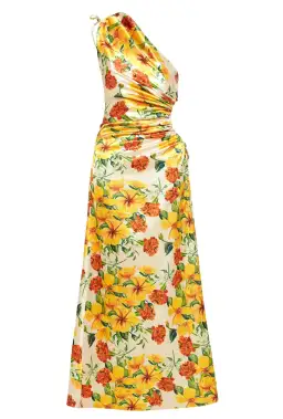 Sonya Moda Nour Yarden Floral Maxi Dress Print Size 12 for rent on The Volte - image 4