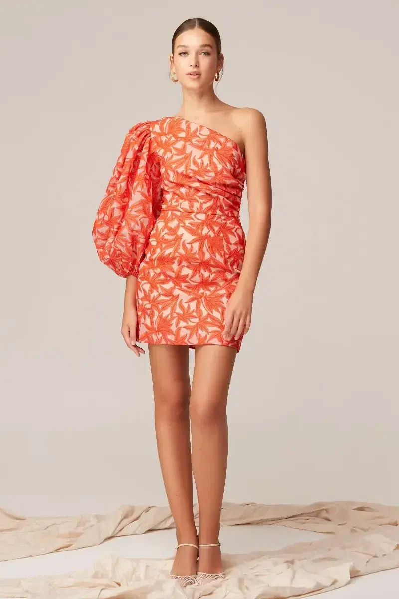 Keepsake the Label Parallel Mini Dress Cosmetic W Chili Print Size 10 for rent on The Volte - main image
