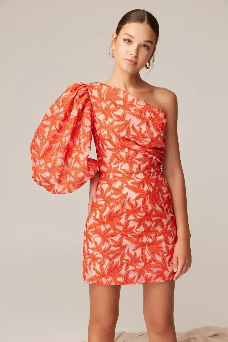 Keepsake the Label Parallel Mini Dress Cosmetic W Chili Print Size 10 for rent on The Volte - main image