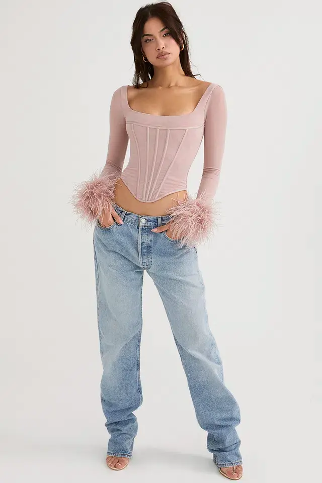 House of CB Stella Mesh Feather Trimmed Corset Blush Size XS / Au 6 for rent on The Volte - main image