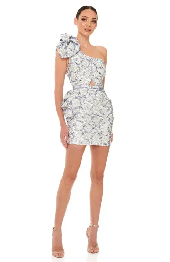 Eliya The Label Elevation Dress Metallic Silver Size 6 for rent on The Volte - main image