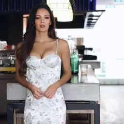 Elle Zeitoune Alannah Rose Dress Metallic Size 6 for rent on The Volte - image 4