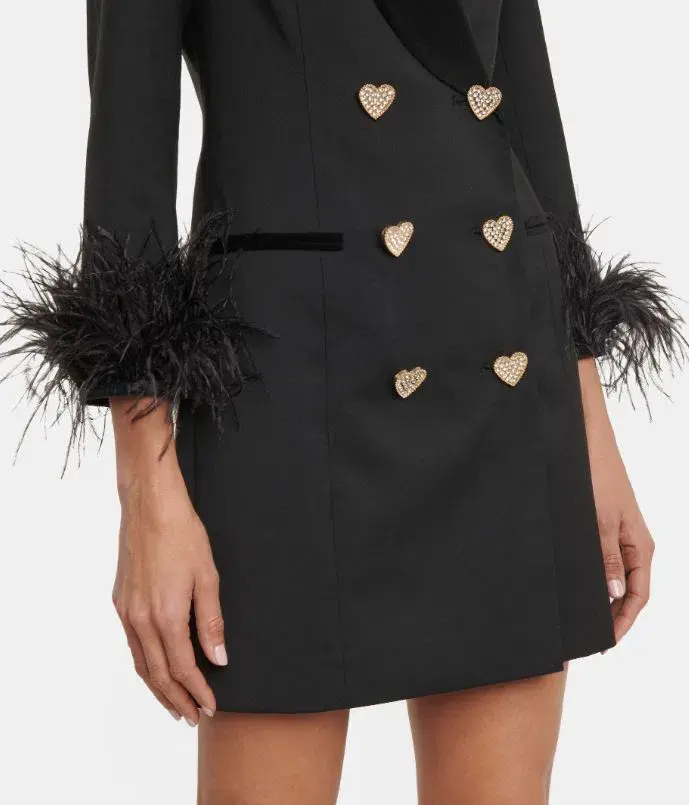 Rebecca Vallance Kawani Feather Trimmed Mini Dress Black Size 8 for rent on The Volte - main image