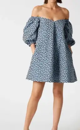 Scanlan Theodore Floral Trapeze Mini Dress Blue Size 6 for rent on The Volte - image 2