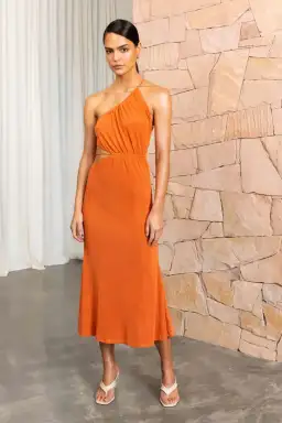 Misha Adara Midi Dress in Apricot Size 6/XS for rent on The Volte - image 1