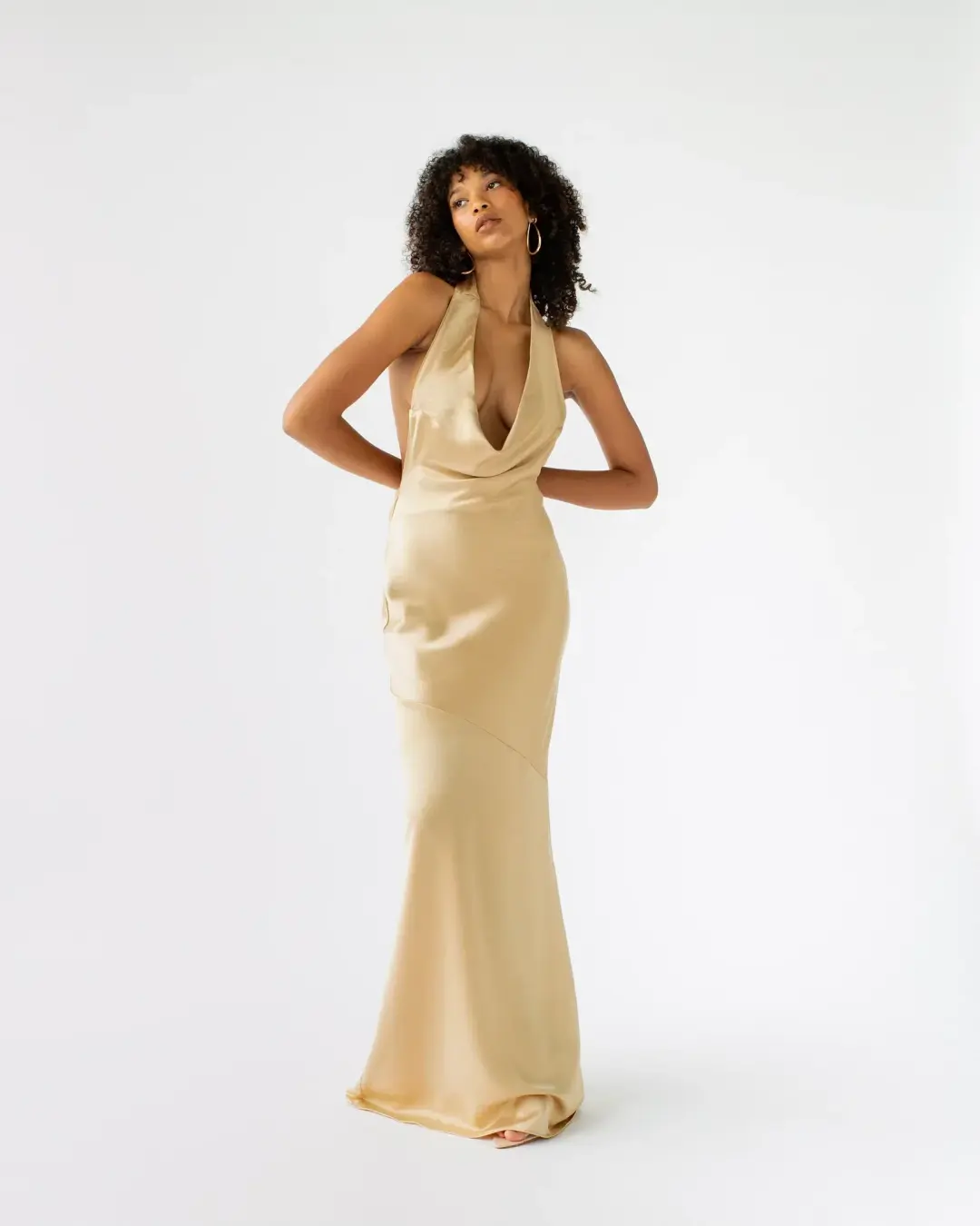 Arcina Ori Daniella Gold Dress Gold Size S/Au 8 for rent on The Volte - main image