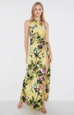 Sonya Moda Nour Maxi Dress in Royal Botanica
Size 6 / XS