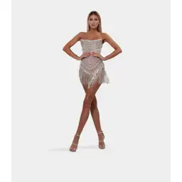 Albina Dyla Wild Corset Short Dress Silver/Nude Size 6 for rent on The Volte - image 1