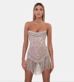 Albina Dyla Wild Corset Short Dress Silver/Nude Size 6 for rent on The Volte - image 2