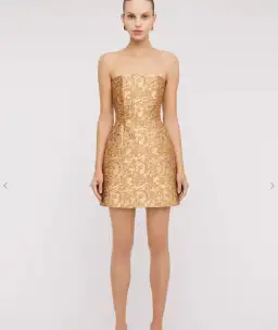 Scanlan Theodore Brocade Mini Dress Gold Size 6 for rent on The Volte - image 1