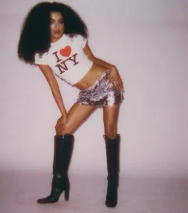 Danielle Guizio Low rise Paillette Skirt for rent on The Volte - main image