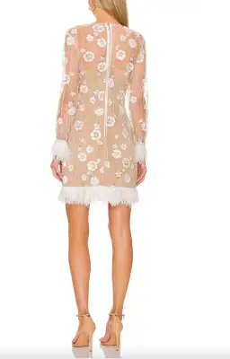 Eliatt Grandis Dress Feather and Applique Size S/AU 8 for rent on The Volte - image 6