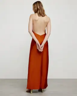 Significant Other Darcy Backless Dress Clay Size 8 for rent on The Volte - image 3