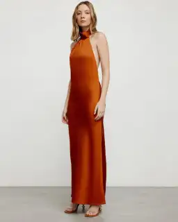 Significant Other Darcy Backless Dress Clay Size 8 for rent on The Volte - image 1