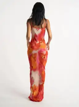 Isabelle Quinn Billie Maxi Dress Multi Size 6 for rent on The Volte - image 2