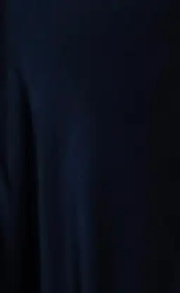 Bec & Bridge Moon Dance Strapless Dress Ink Size 18 / 3XL for rent on The Volte - image 4