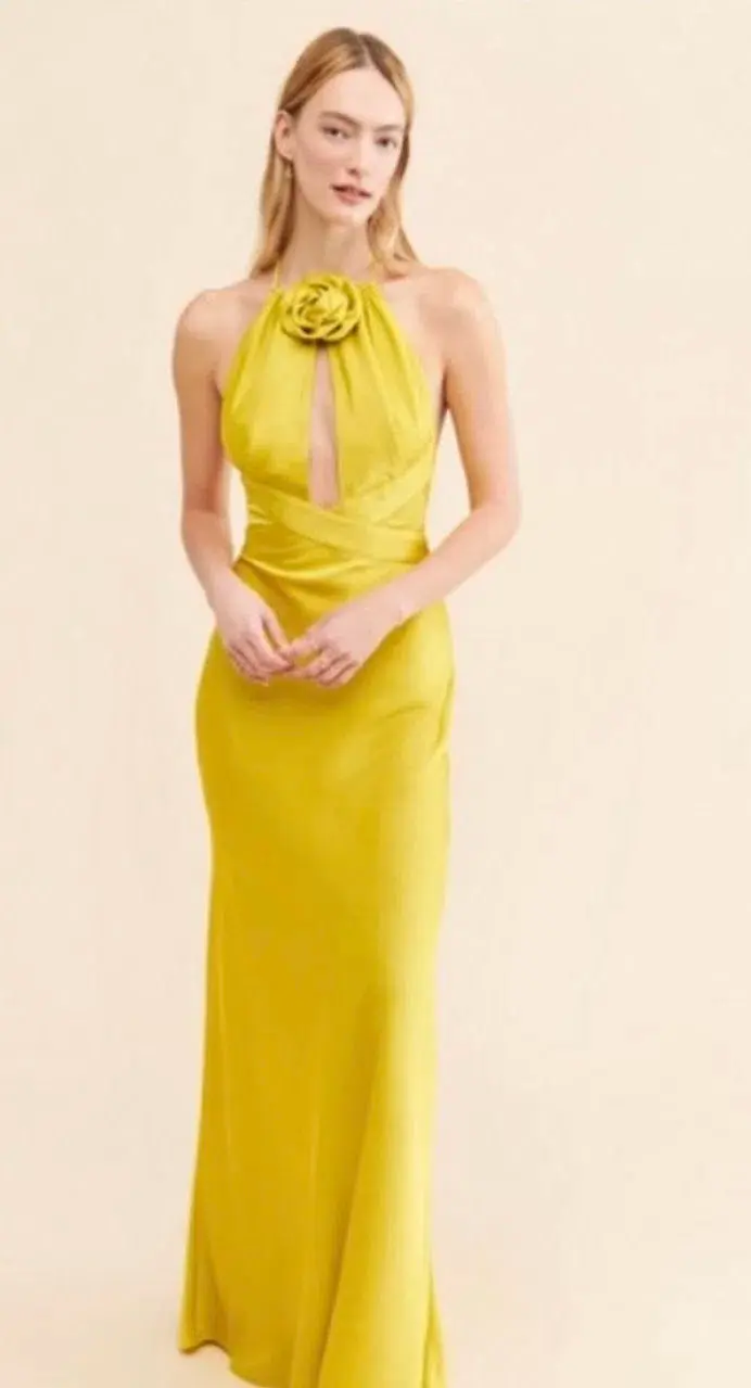 Ronny Kobo Wonder Dress Chartruse Size 8 for rent on The Volte - main image