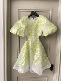 Aje Botanical Mini Dress Green Size 8 for rent on The Volte - image 6