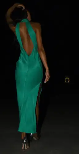 Meshki Claire Dress Green Size XXS/Au 4 for rent on The Volte - image 3