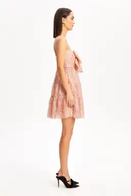 Alice McCall Slow Drives Bow Mini Dress Blush Size 12 for rent on The Volte - image 2
